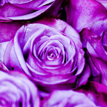 ddos怎么简单攻击一个网站